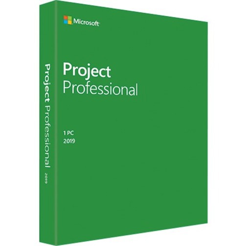 Microsoft Project 2019 Professional for Windows 10 - Box Pack - 1 PC - Medialess German
