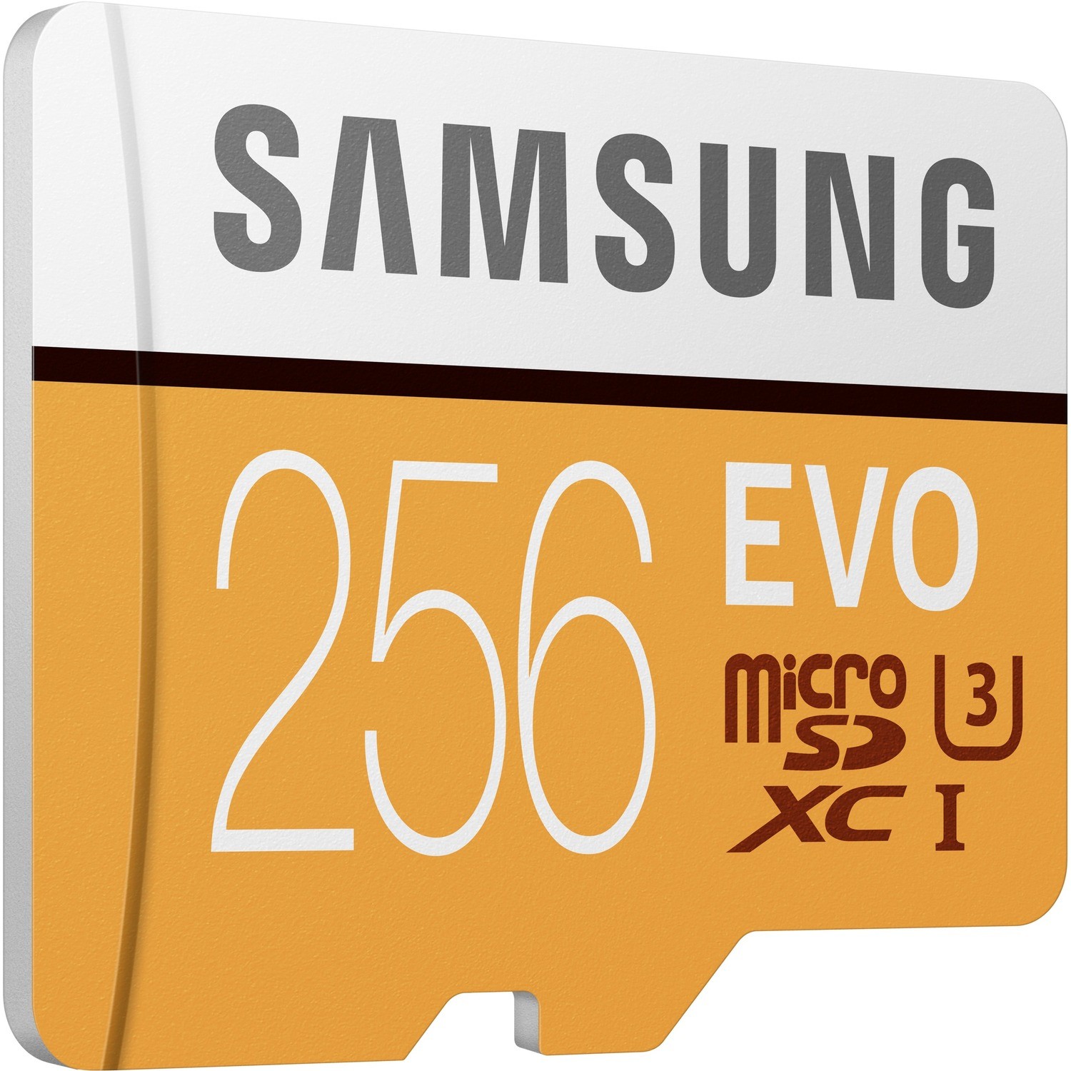 Samsung EVO 256 GB Class 10 microSDXC