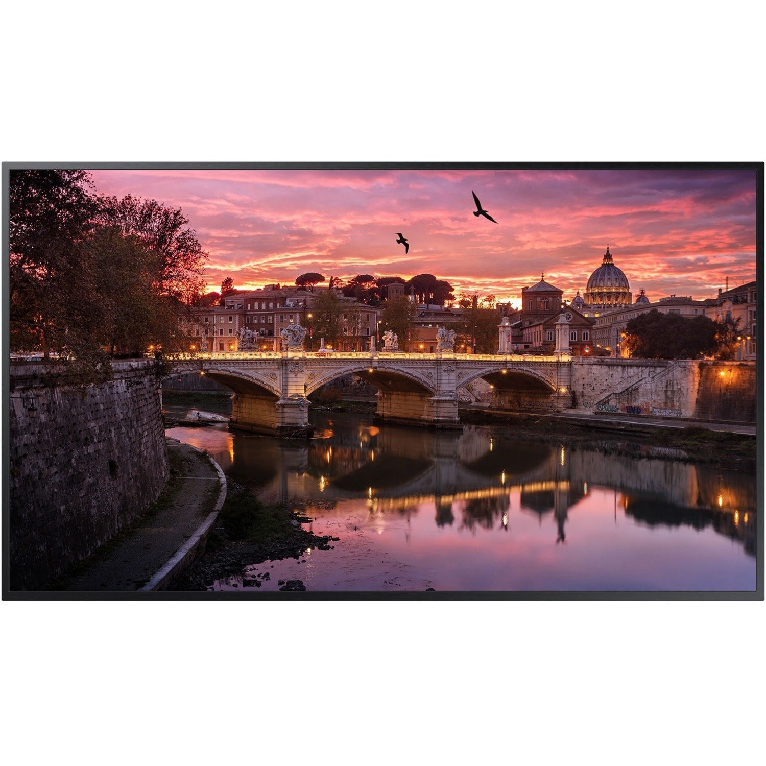 Samsung QB55R-B 55" LCD Digital Signage Display - Energy Star