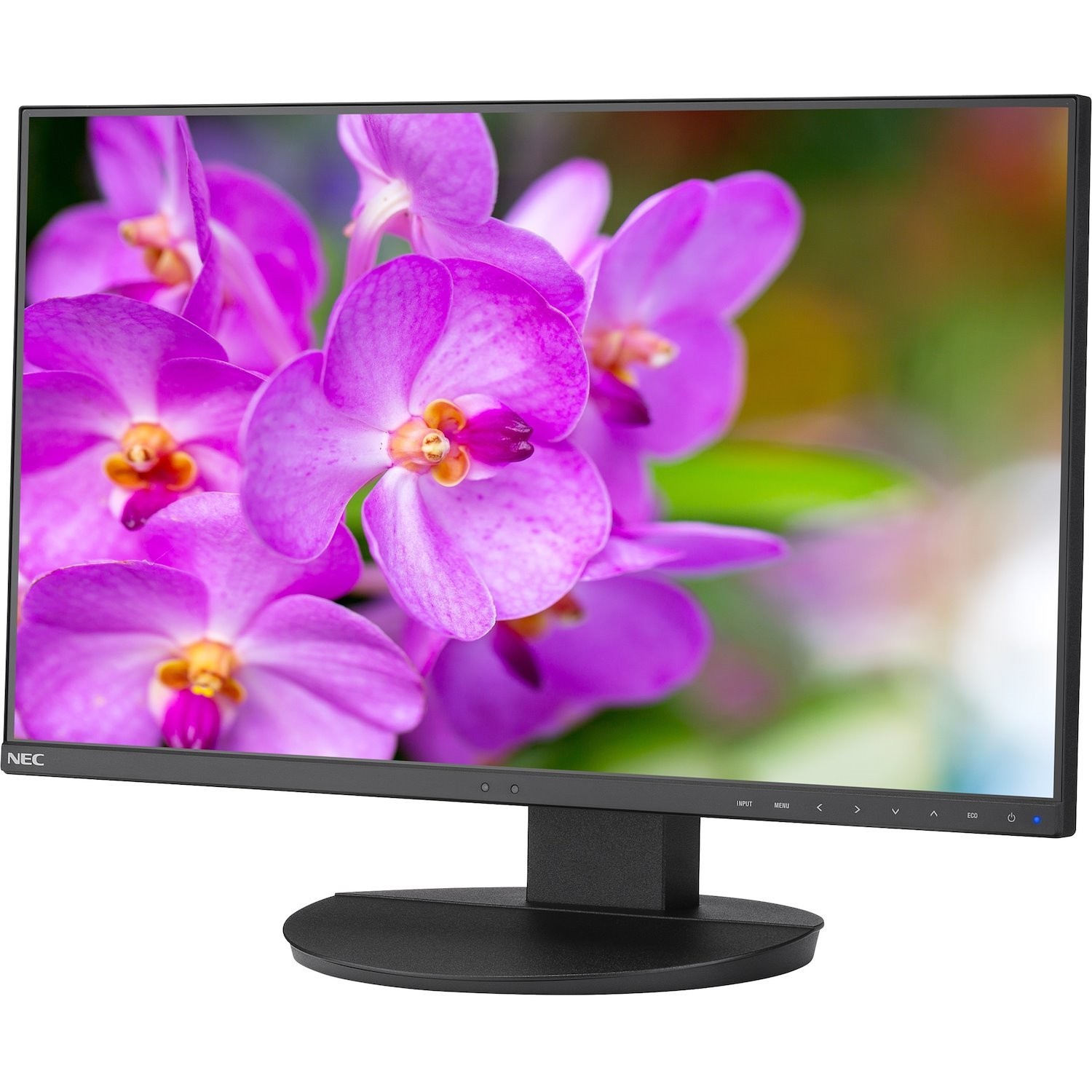 NEC Display MultiSync EA241F-BK-SV Full HD LCD Monitor - 16:9 - Black