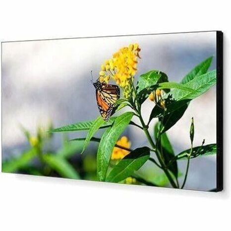 Sharp NEC Display 46" LED-Backlit 3.5mm 2x2 Video Wall Bundle