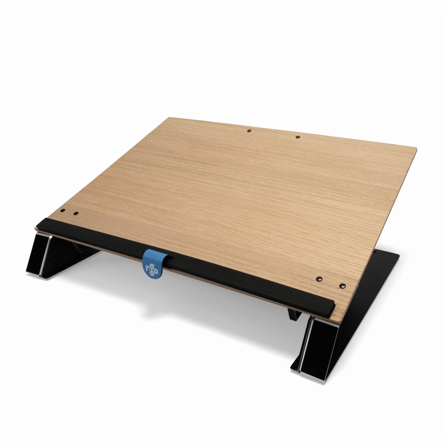 R-Go document holder