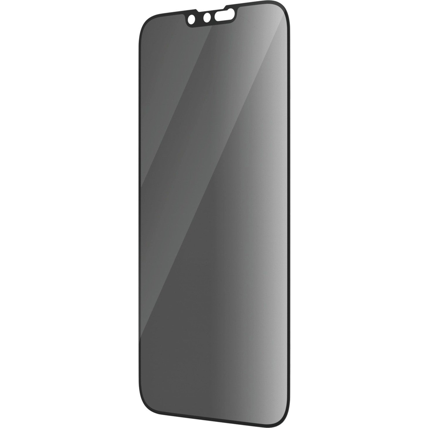 PanzerGlass Privacy Screen Filter Crystal Clear
