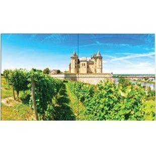 NEC Display UN492S-TMX4P Digital Signage Display