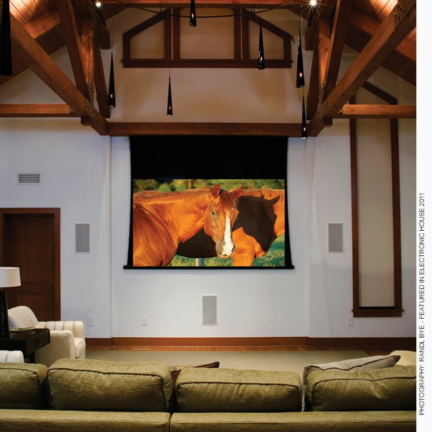 Draper Access V 165" Electric Projection Screen