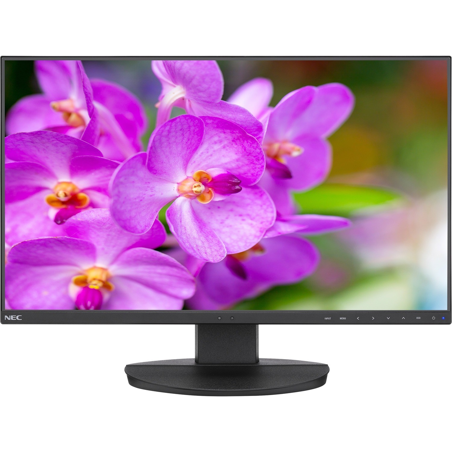 NEC Display MultiSync EA241F-H-BK Full HD LCD Monitor - 16:9 - Black