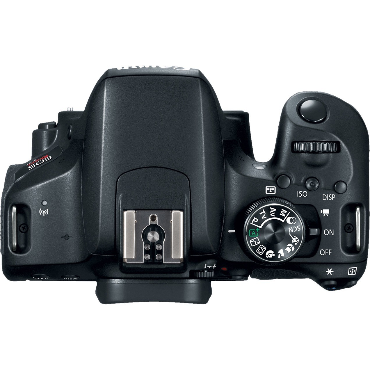 Canon EOS Rebel T7i 24.2 Megapixel Digital SLR Camera Body Only