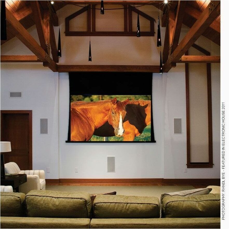 Draper Access V 220" Projection Screen