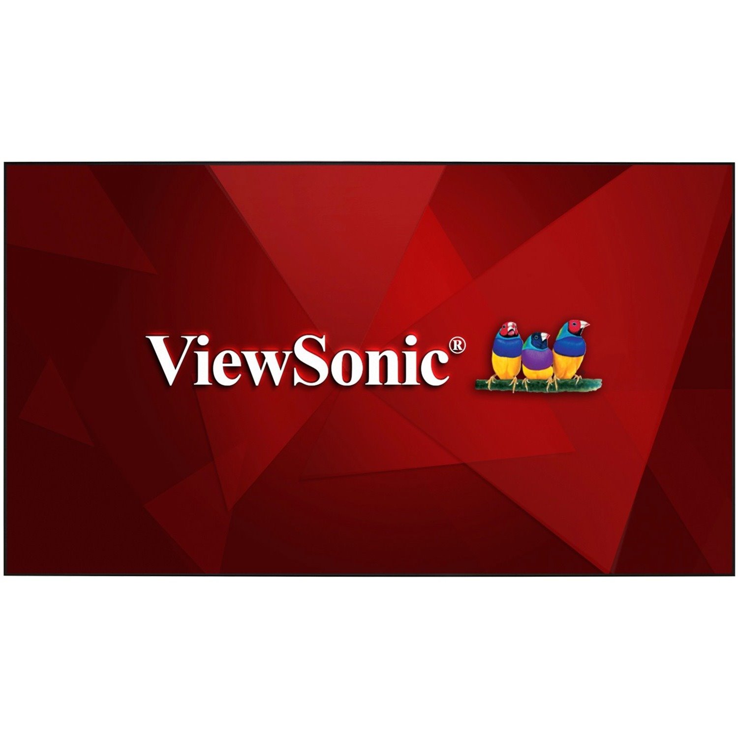 ViewSonic BCP120 120-Inch Home Theater Screen for Ultra Short Throw Projectors