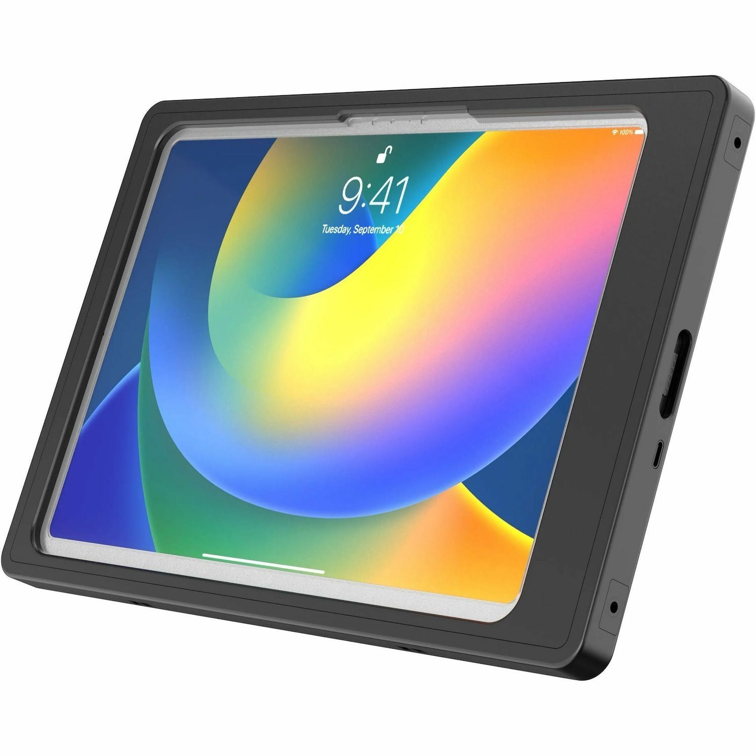 POGO Charge Protective Case for Link2500 A