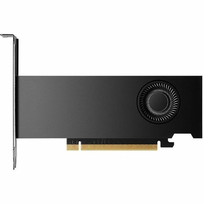 NVIDIA RTX&trade; 2000 Ada Generation Professional Graphics Board