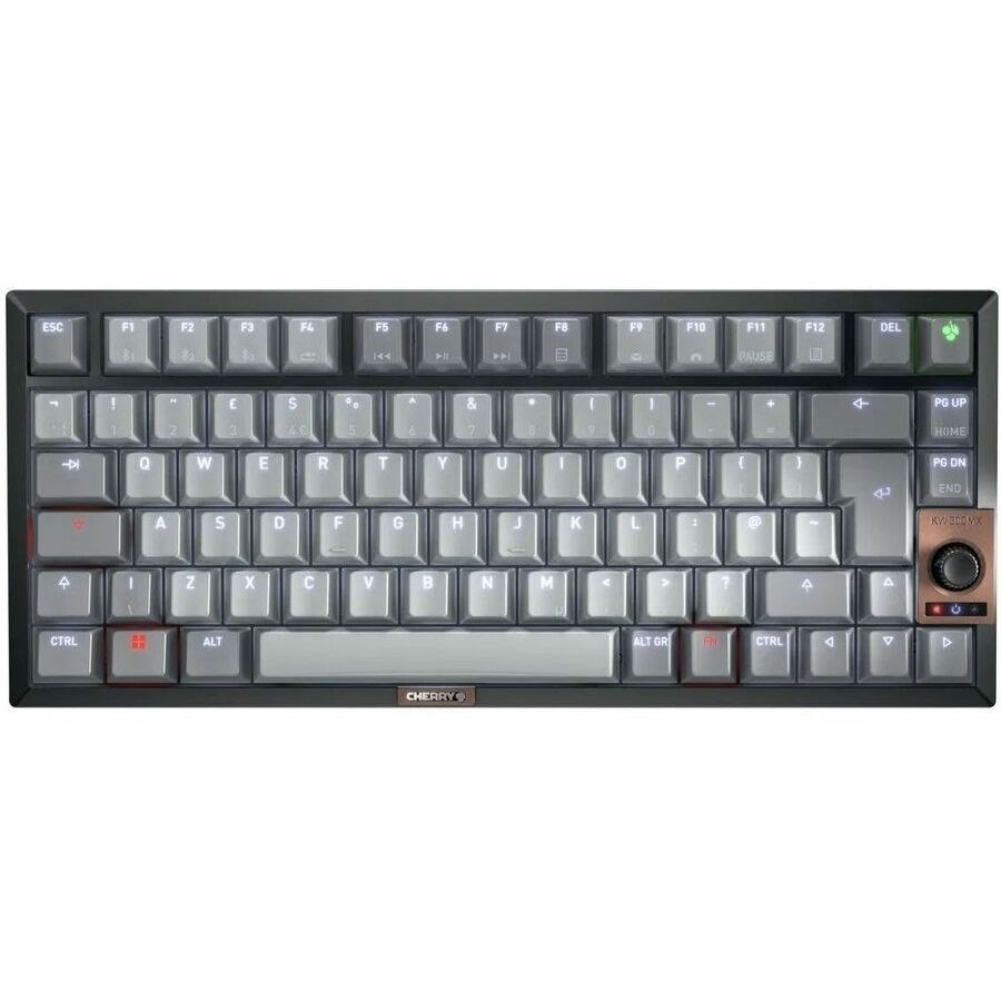CHERRY G80-3960 Keyboard