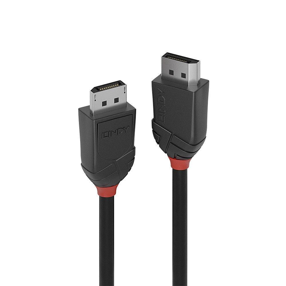 Lindy 1M DP 1.2 Cable BL