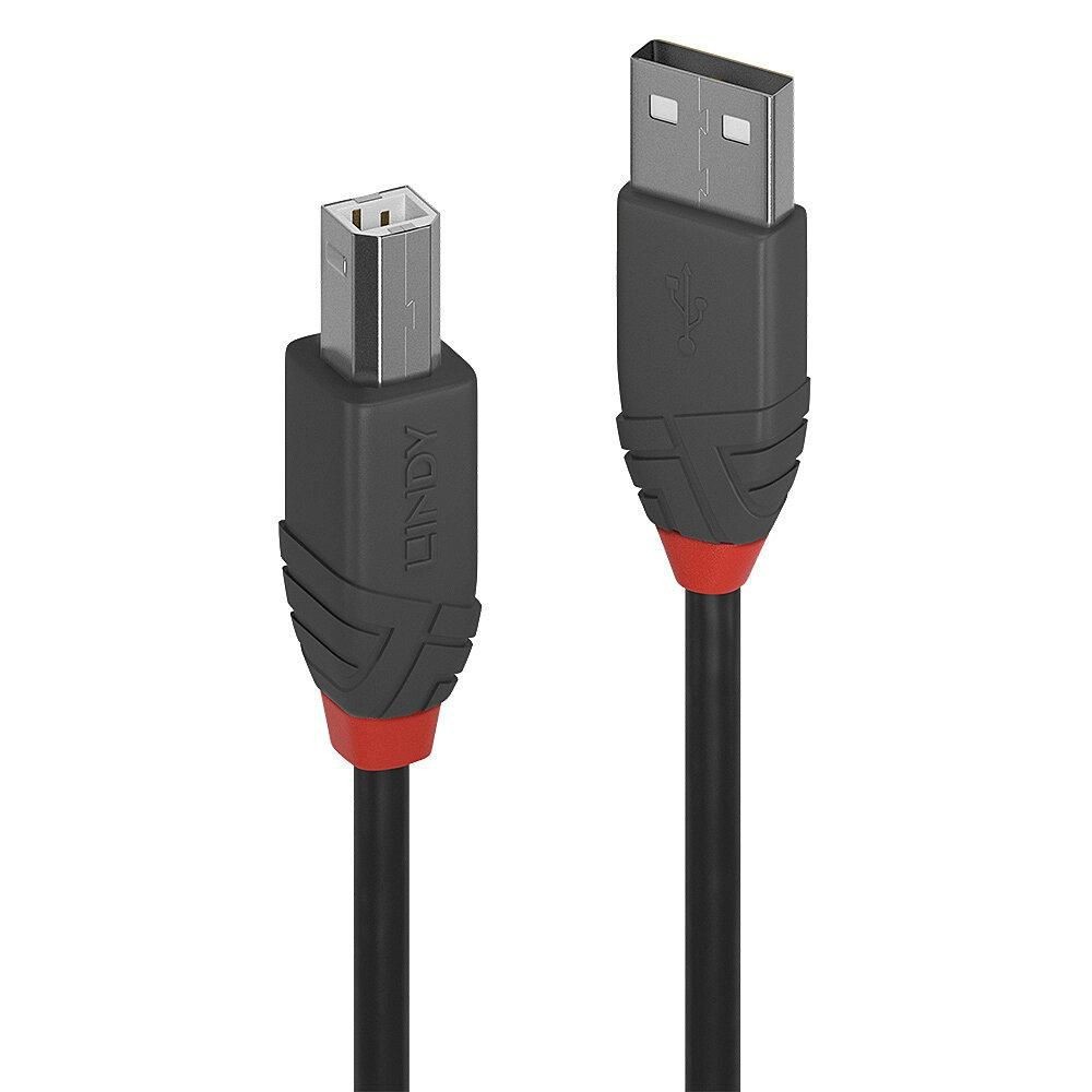 Lindy .5M Usb2 A-B Cable Al