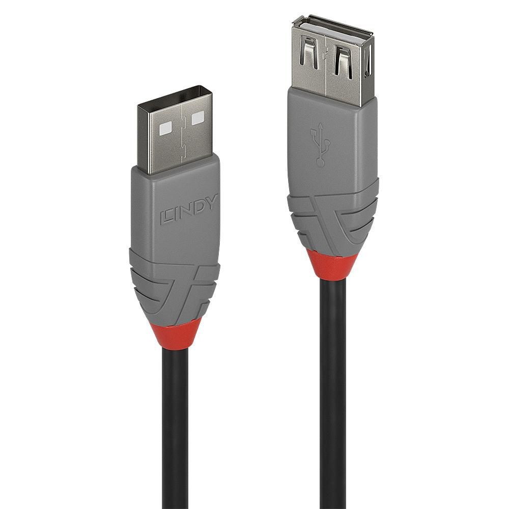Lindy 1M Usb2 A Ext Cable Al