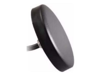 AccelTex Solutions AccelTex Lte 2 Element Indoor/Outdoor Omni Antenna W/Sma