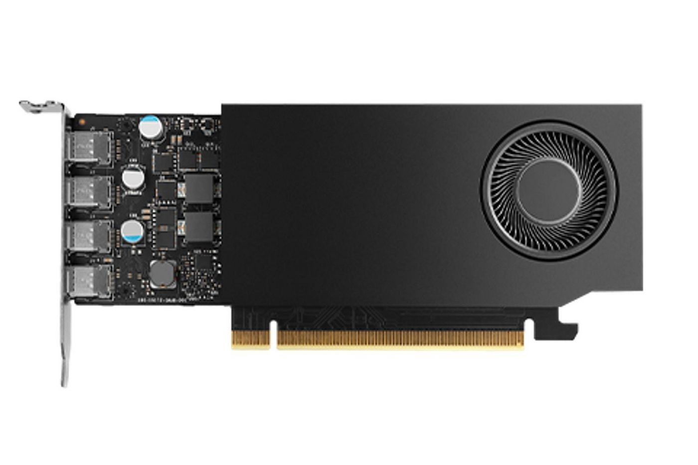 HP NVIDIA RTX A1000 Graphic Card - 8 GB GDDR6