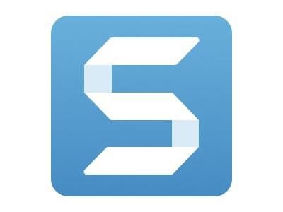 Techsmith Corp. Snagit-25 Business 3 Year New License 1-9 Users