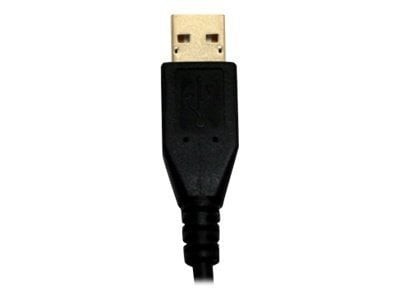 CodeCorp Usb Cable, Usb Type A (M), 6FT