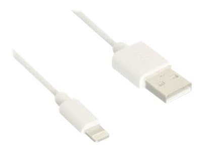 B3e Usb Type A To Lightning Cable, 3FT